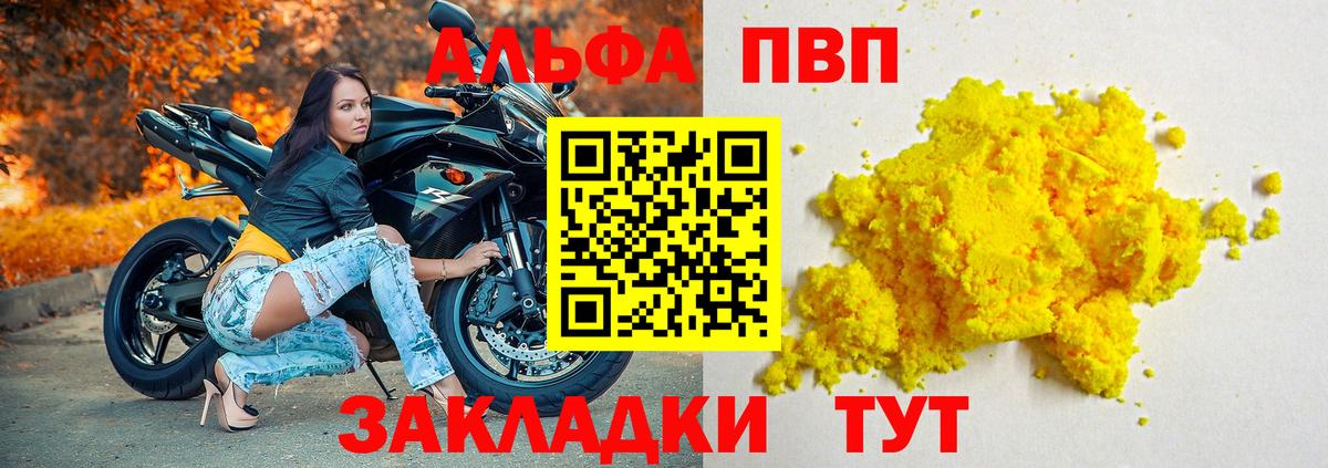 Альфа ПВП СК КРИС Сальск
