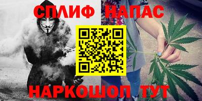 PSILOCYBIN Можга