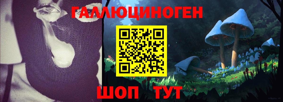 Галлюциногенные грибы ЛСД  Вход с VPN  Сальск  Галлюциногенные грибы MAGIC MUSHROOMS 