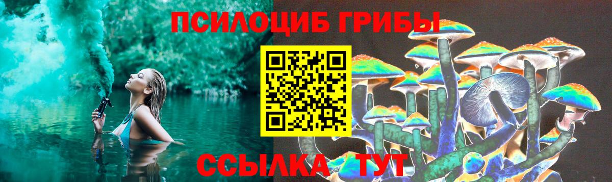 Галлюциногенные грибы GOLDEN TEACHER Сальск